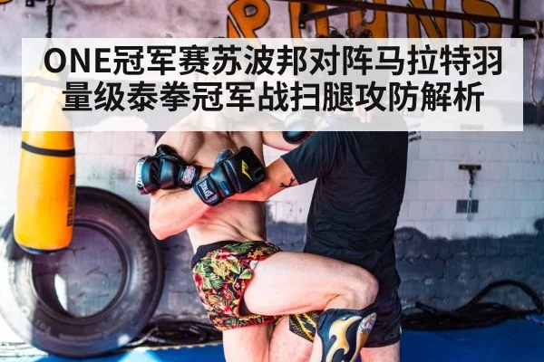 muay thai knee block defense